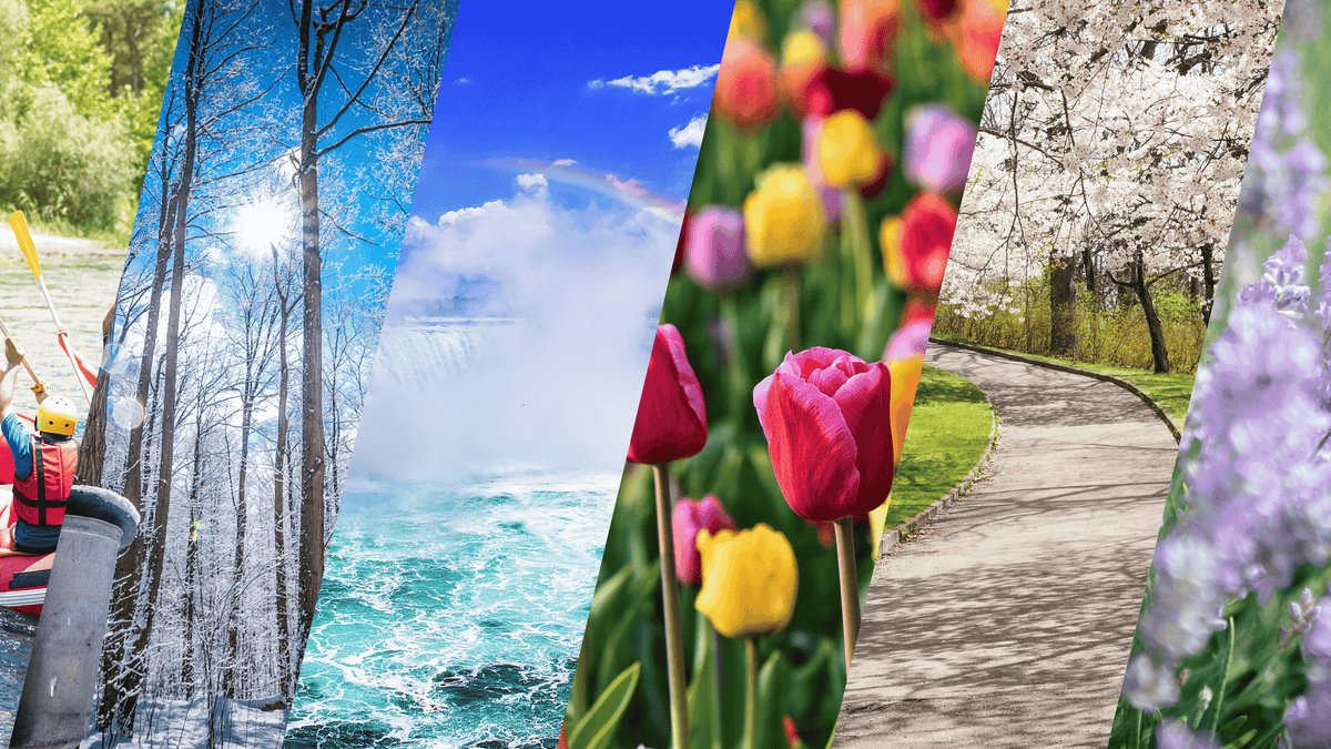 Spring Experiences Toronto Spring Experiences to Try 2025 β Northbound tours