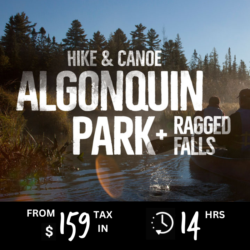 Algonquin Park + Ragged Falls (Hike & Canoe)