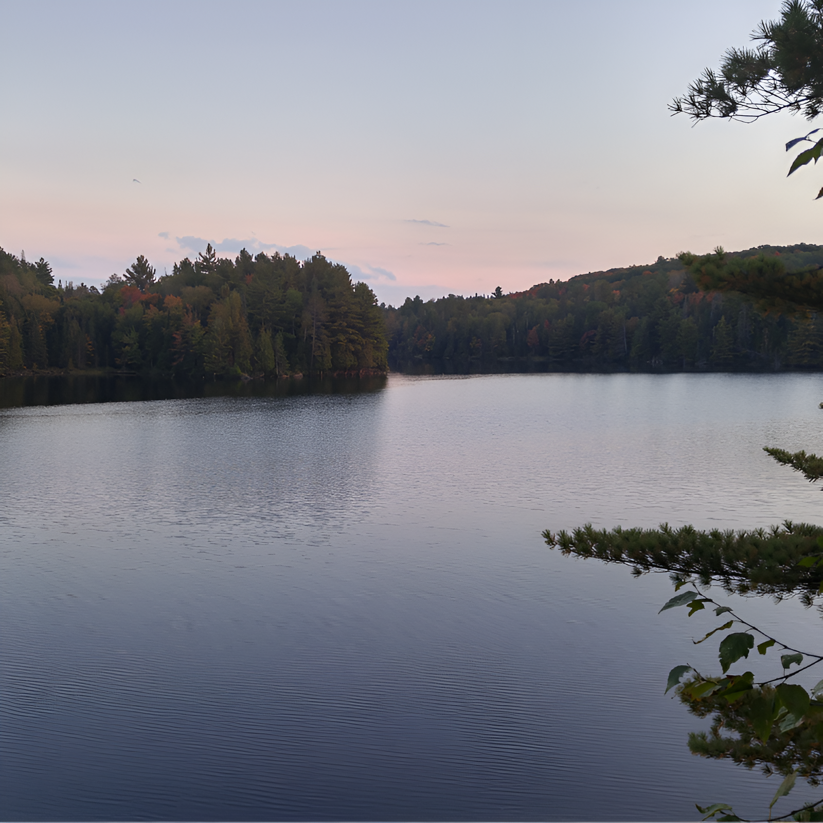 A wide shot of a calm lake surrounded by a dense forest under a soft, diffused sky. The water reflects the muted tones of the evening or early morning light.