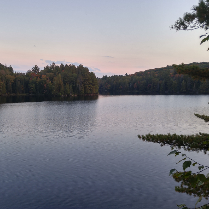Camping in Algonquin park