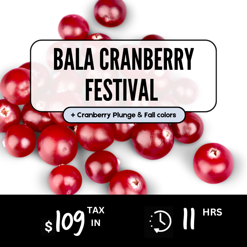 Bala Cranberry Festival & Plunge