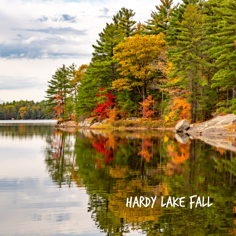 Cranberry Plunge + Hardy Lake Hike