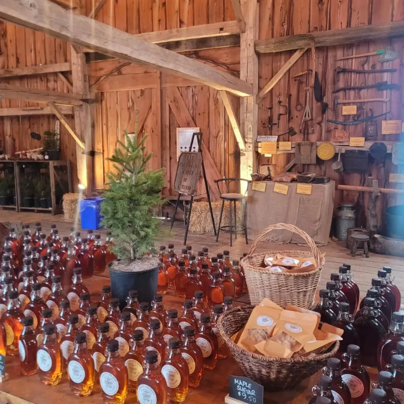 Maple Sugar Bush Tour & Tasting