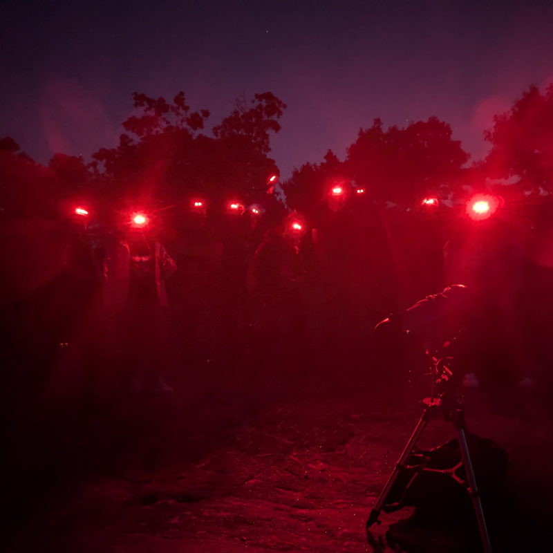 Under the Stars - Torrance Barrens