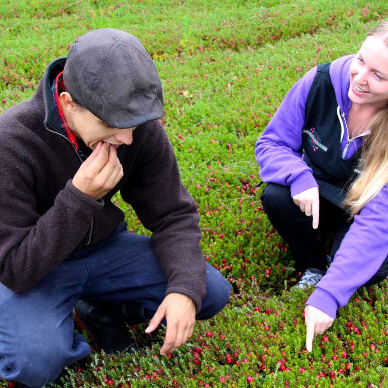 Cranberry Plunge + Hardy Lake Hike