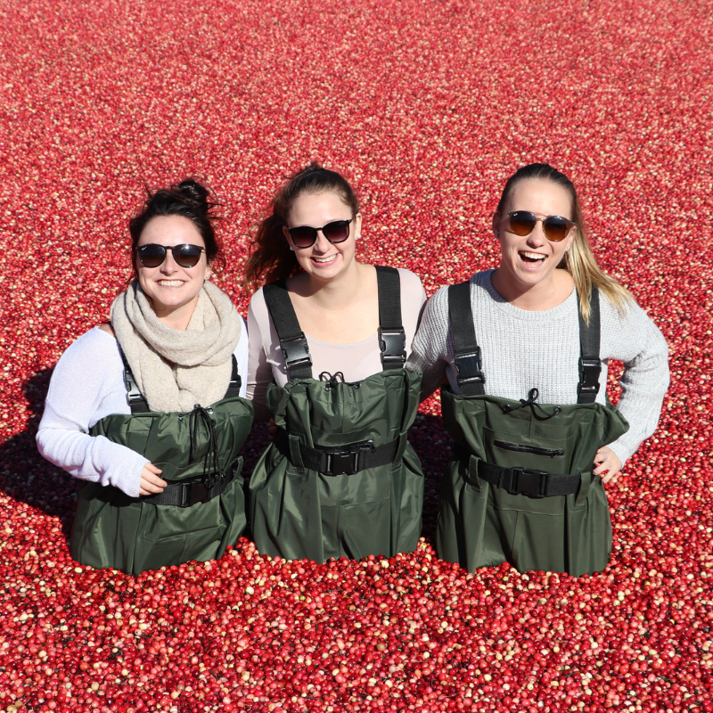Cranberry Plunge + Hardy Lake Hike