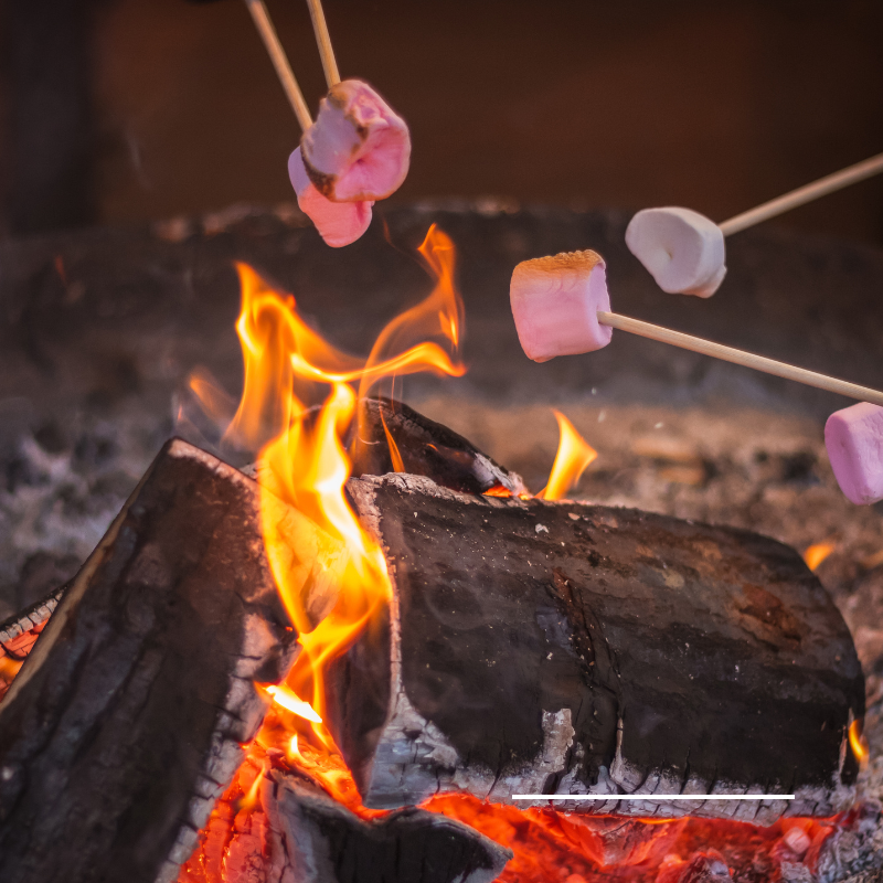 Camping in Algonquin park