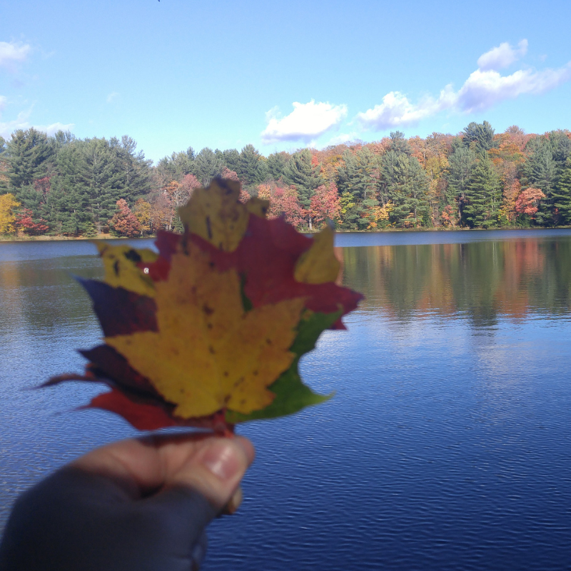 Algonquin Park + Ragged Falls (Hike & Canoe)