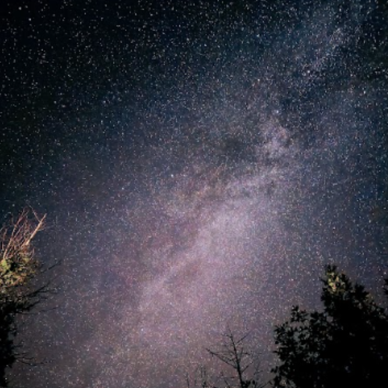 Spas and Stars in Muskoka