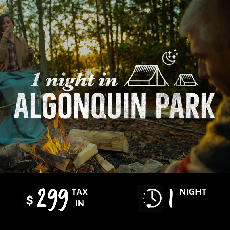 Camping in Algonquin park