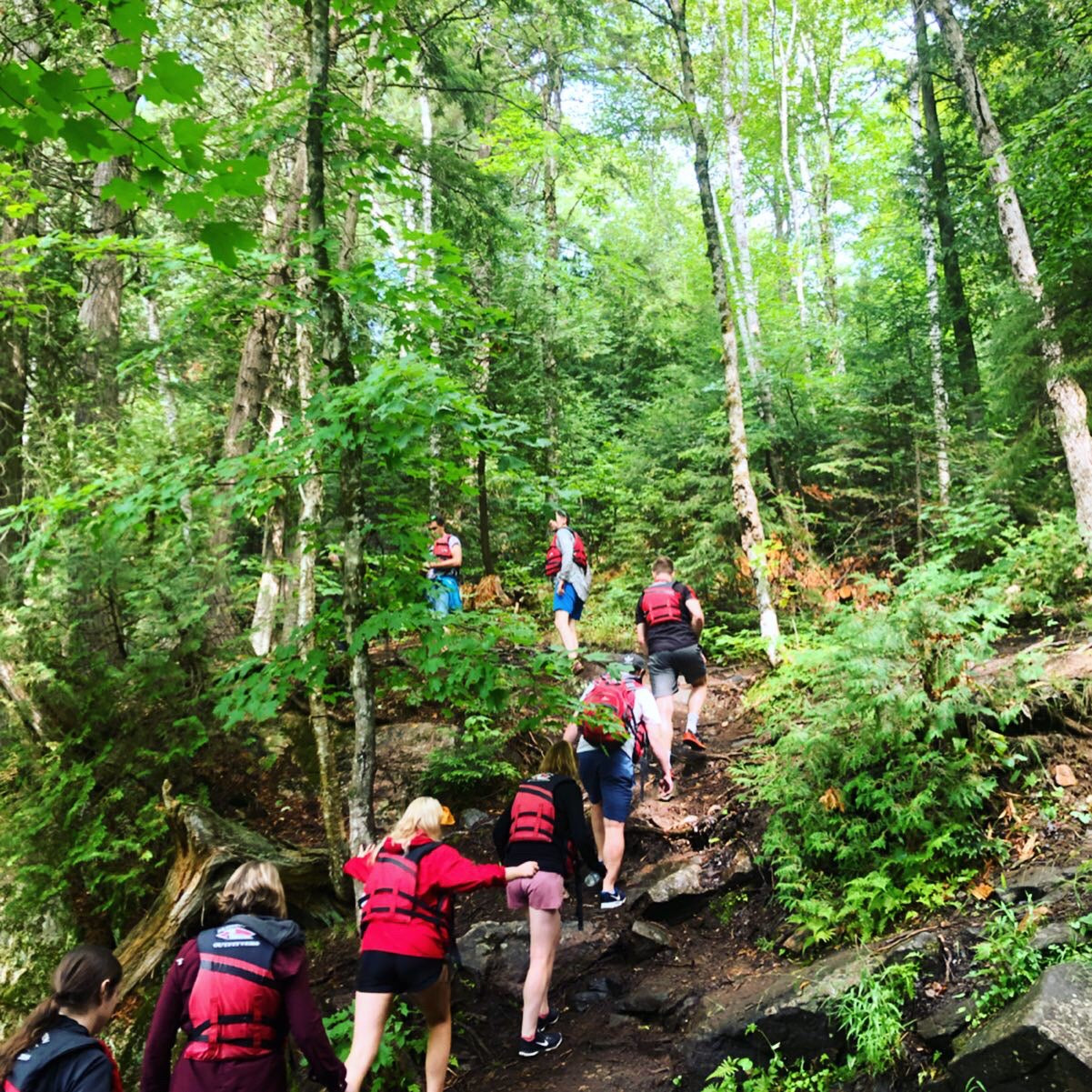 Algonquin Park + Ragged Falls (Hike & Canoe)